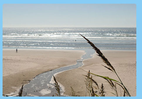 beach